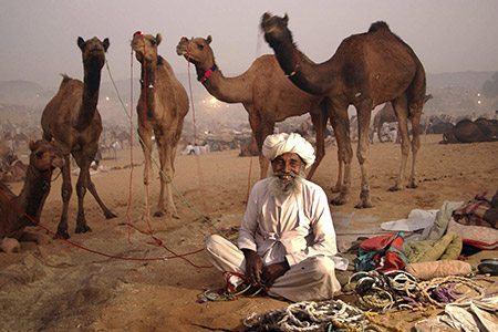 ajmer-and-pushkar